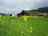 farm