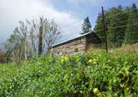 Humboldt Barn